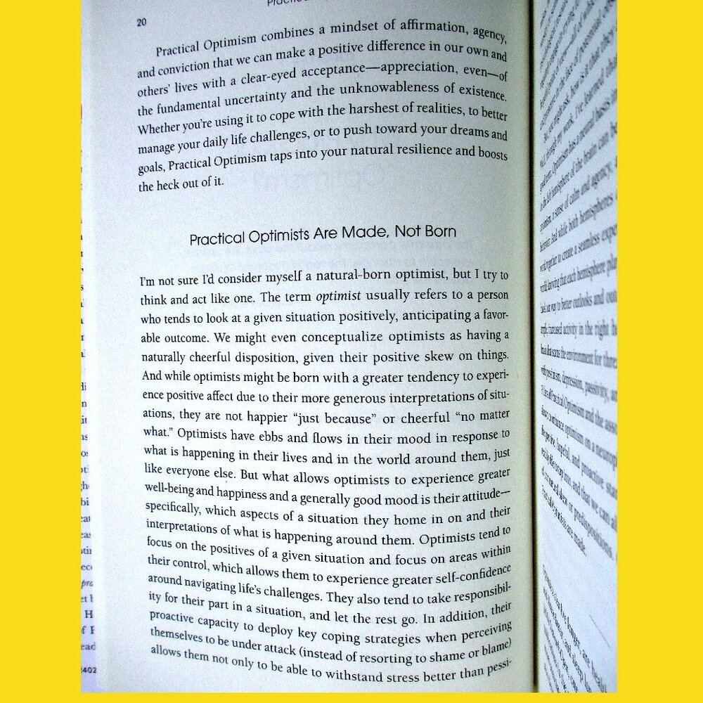 Book - Practical Optimism: The Art, Science & Practice of Exceptional Well-Being - Picture 6 of 16